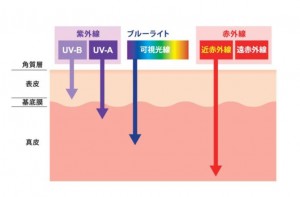 ブルーライト