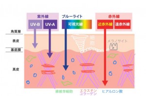 ブルーライト